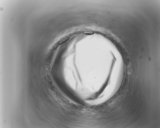 X0000054431496200508262334