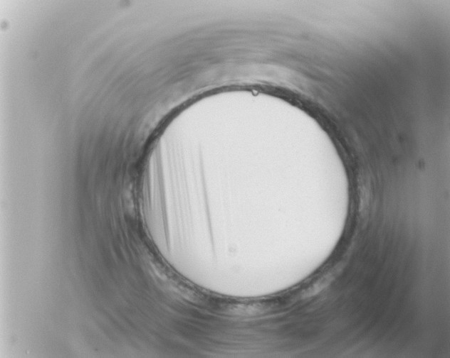 X0000054431497200508262334