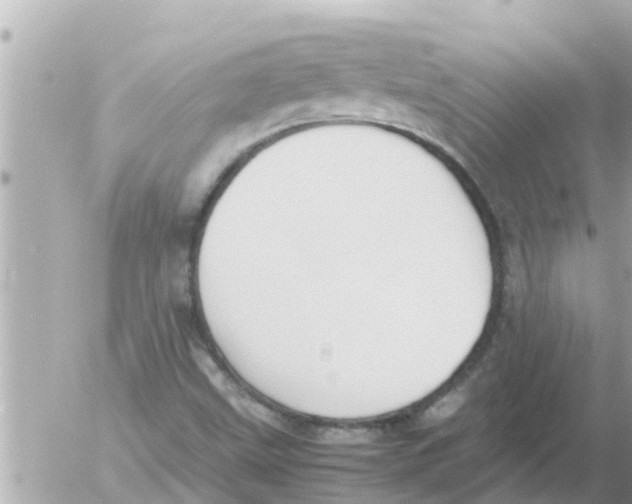 X0000054431499200508262334