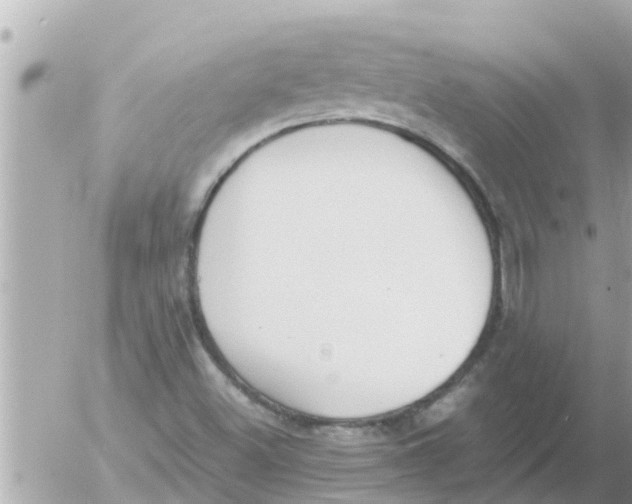 X0000054431500200508262334