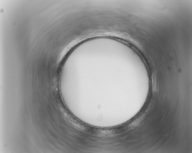 X0000054431501200508262334