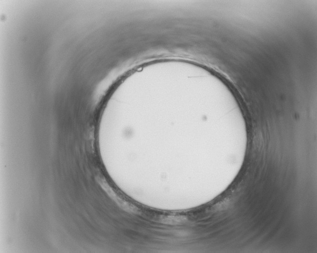 X0000054431503200508262334