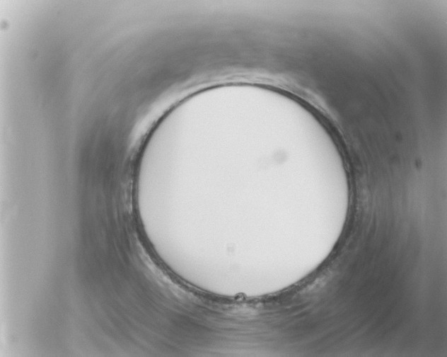 X0000054431504200508262334