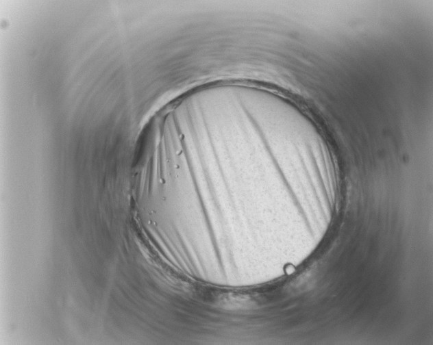 X0000054431505200508262334