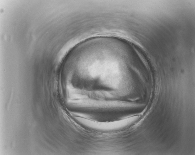 X0000054431506200508262334