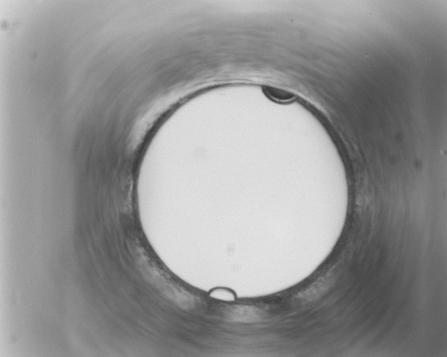 X0000054431507200508262334