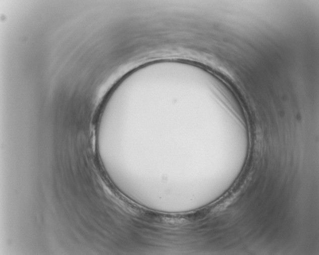 X0000054431509200508262334