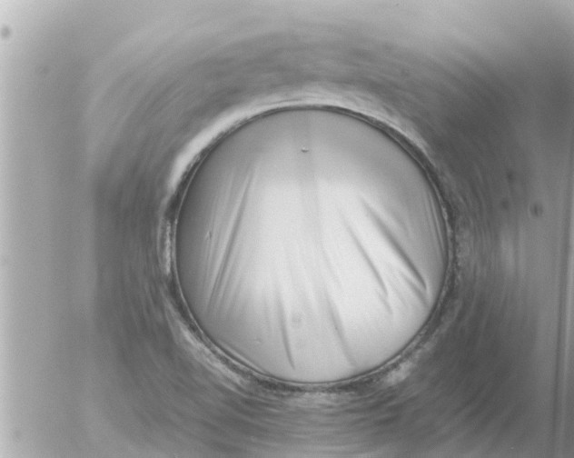 X0000054431510200508262334