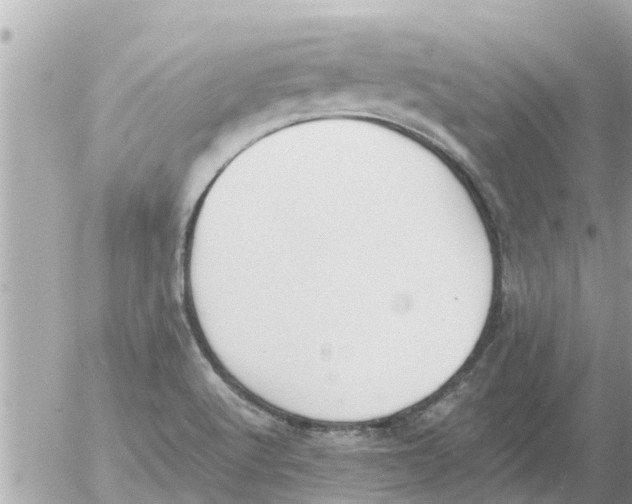 X0000054431512200508262334