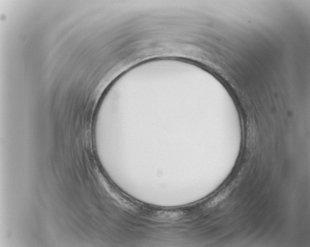 X0000054431513200508262334