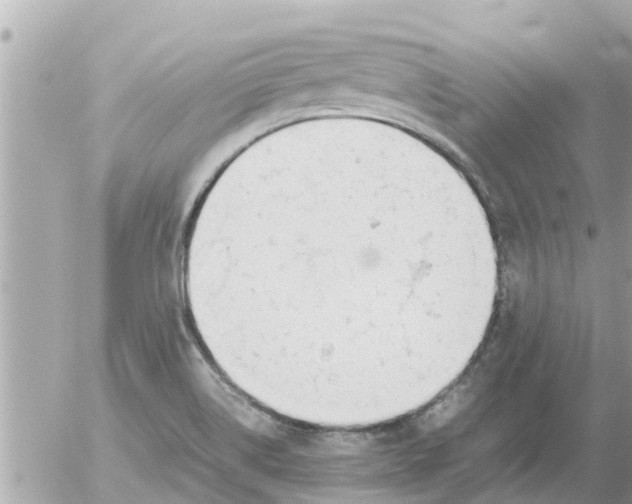 X0000054431514200508262334