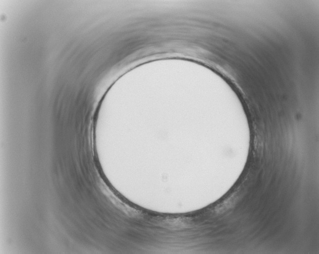 X0000054431516200508262334