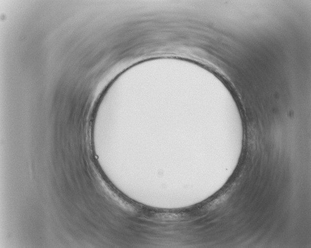 X0000054431517200508262334