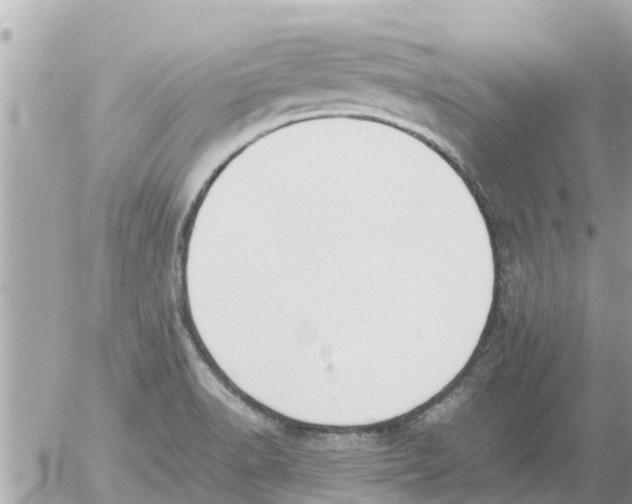 X0000054431518200508262334