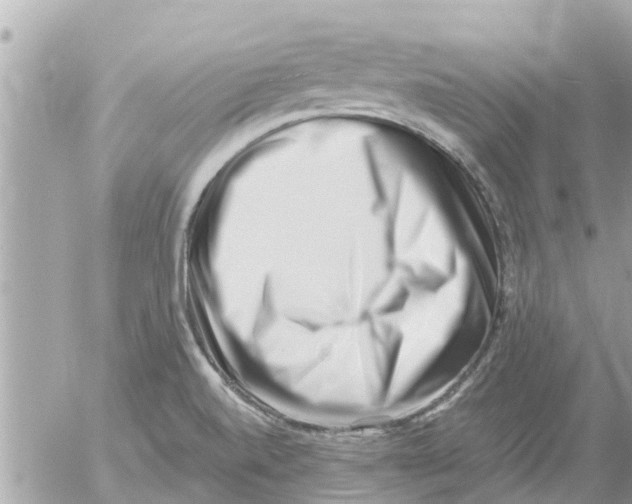 X0000054431520200508262334