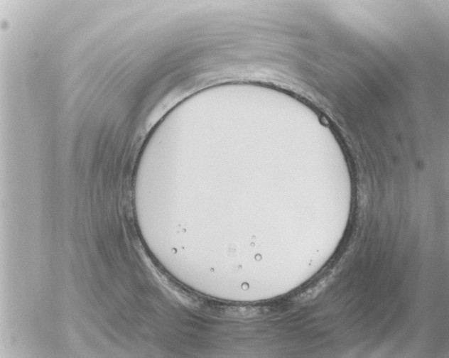 X0000054431521200508262334