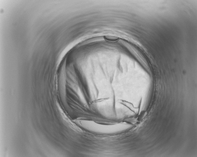 X0000054431522200508262334