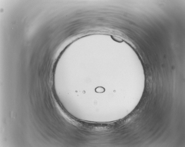 X0000054431523200508262334