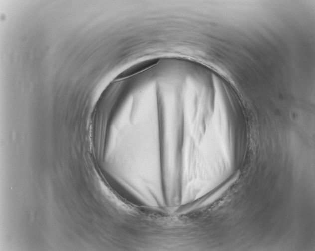 X0000054431524200508262334