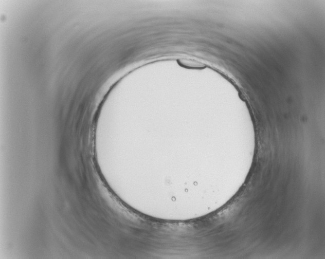 X0000054431526200508262334