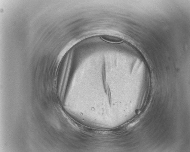 X0000054431529200508262334