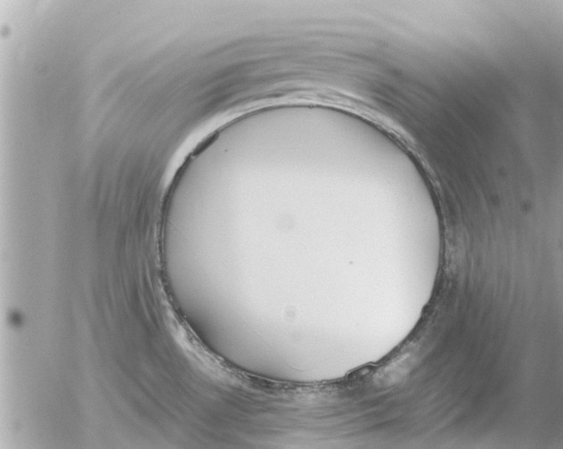 X0000054431530200508262334