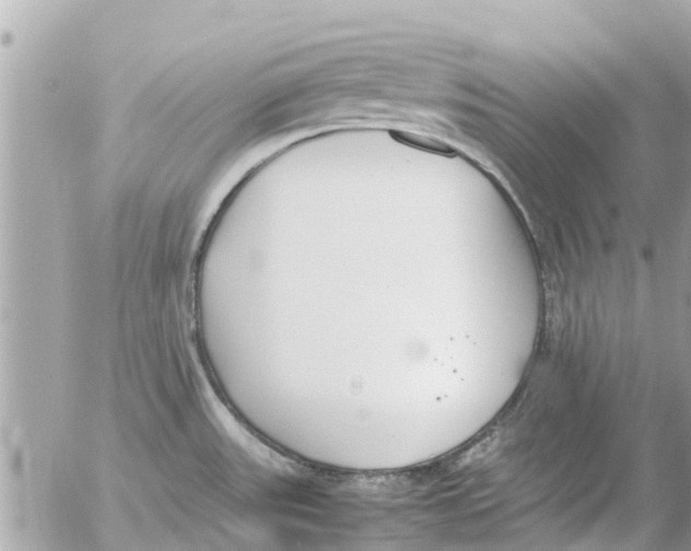 X0000054431531200508262334