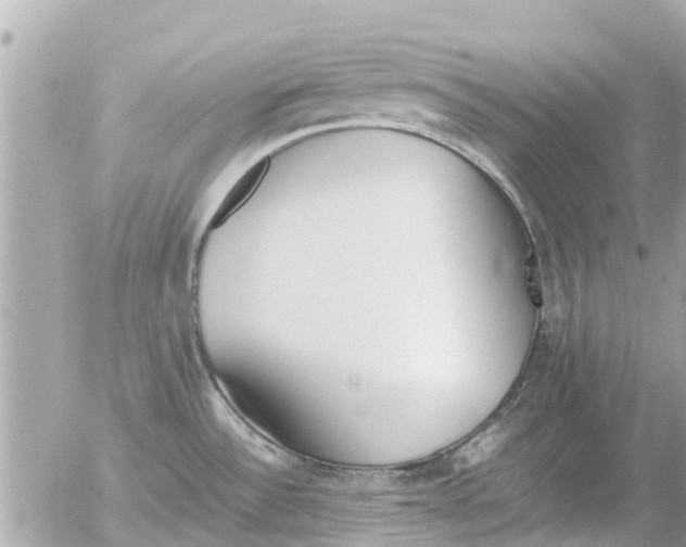 X0000054431532200508262334