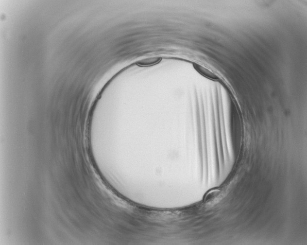 X0000054431533200508262334