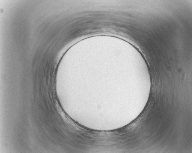 X0000054431534200508262335