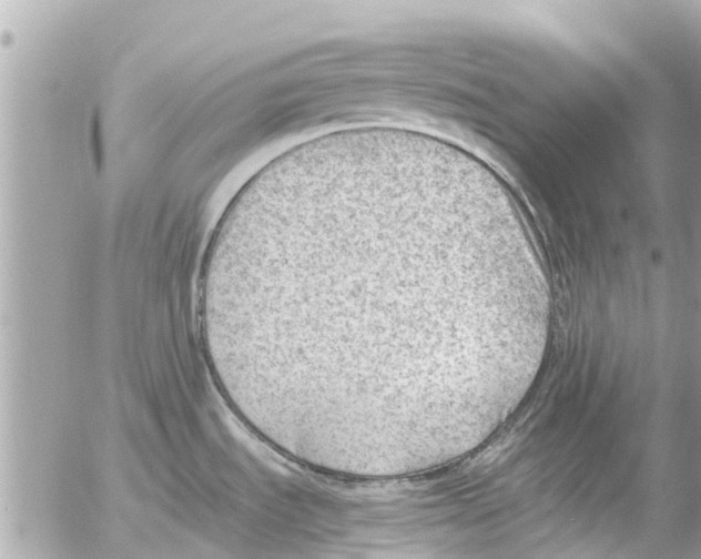 X0000054431535200508262335