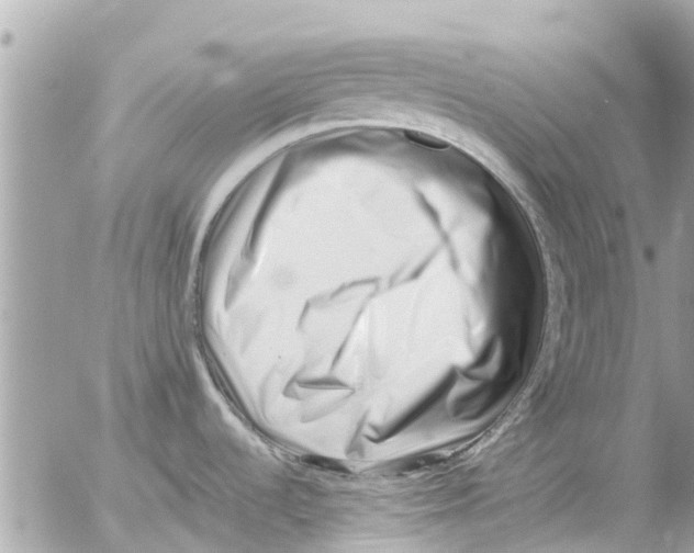 X0000054431536200508262335