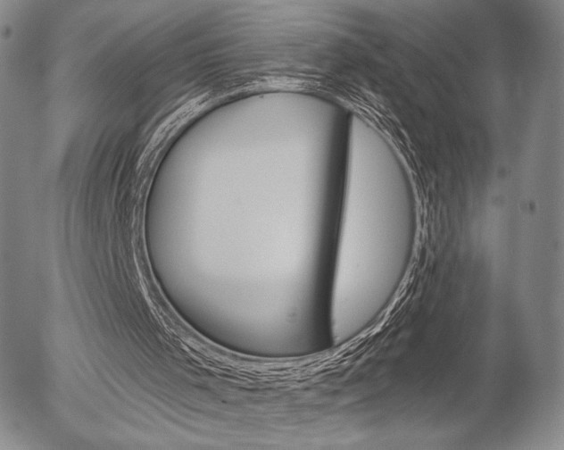 X0000054440001200507290938