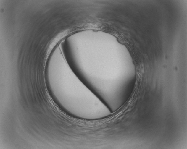 X0000054440006200507290938