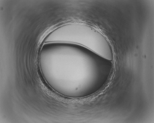 X0000054440007200507290938