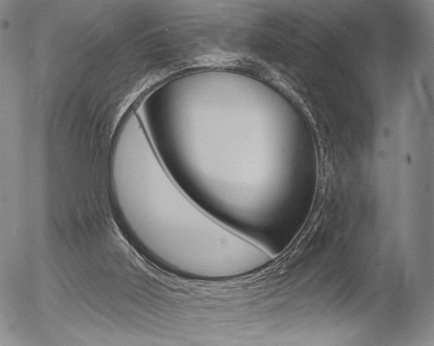 X0000054440011200507290938