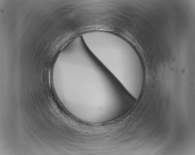 X0000054440014200507290938