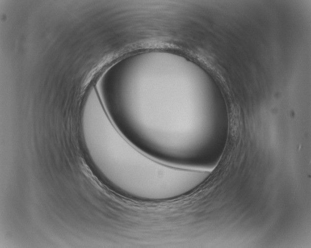 X0000054440015200507290938