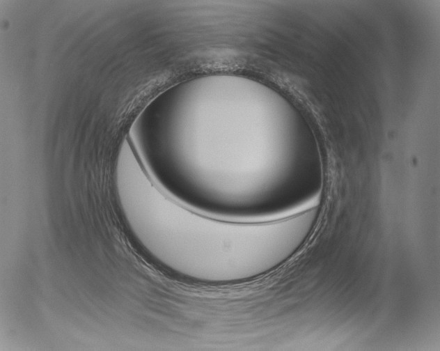 X0000054440017200507290937