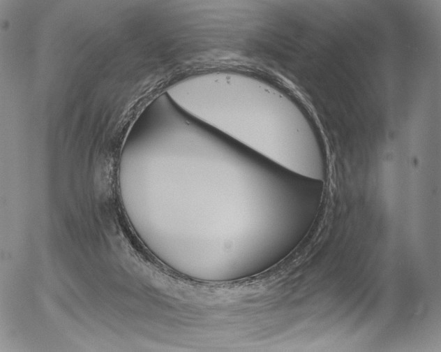 X0000054440018200507290937