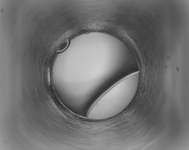 X0000054440020200507290937