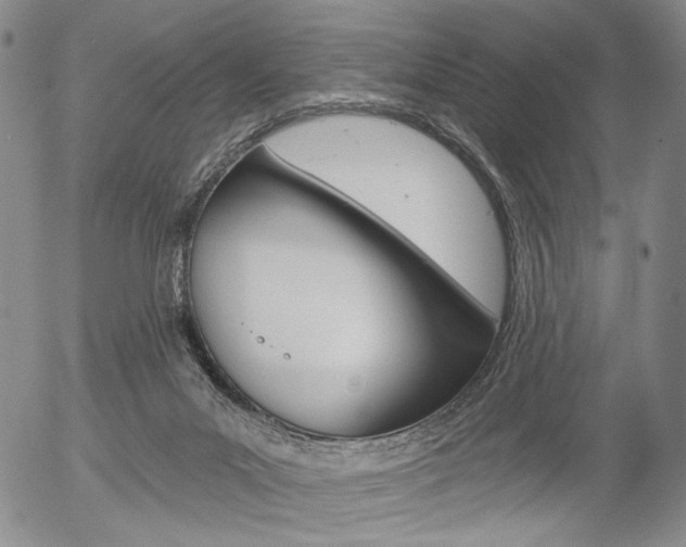 X0000054440023200507290937