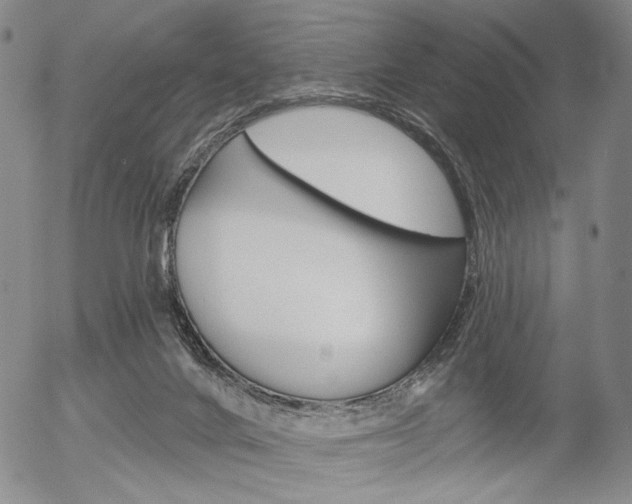 X0000054440024200507290937