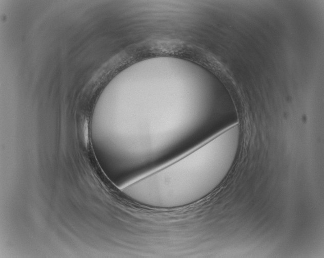 X0000054440027200507290937