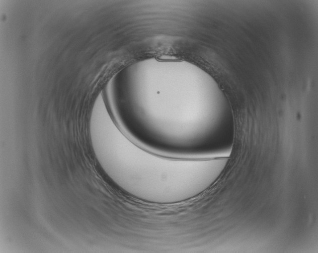X0000054440035200507290937