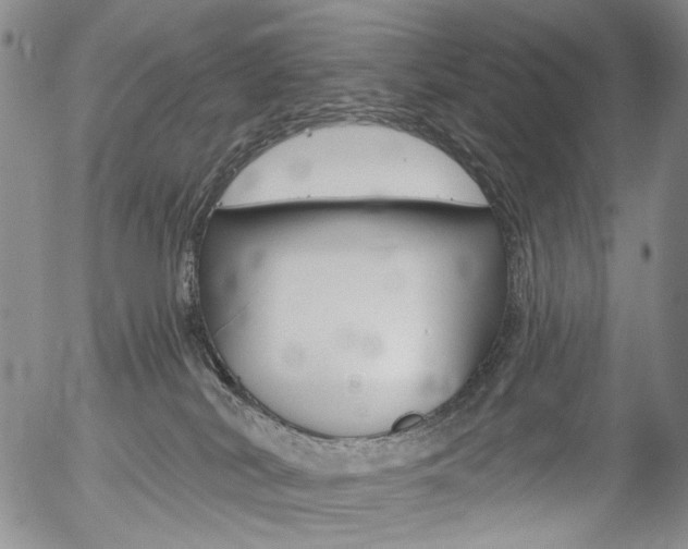 X0000054440038200507290937