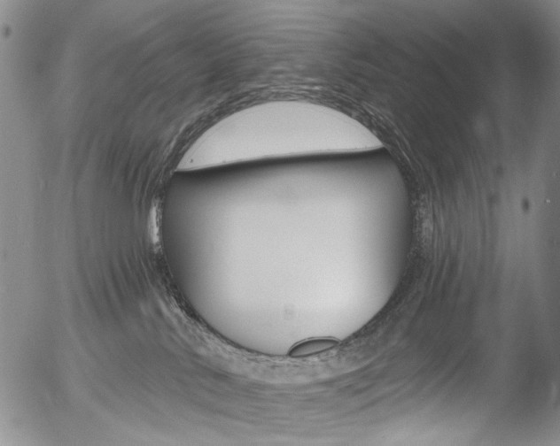 X0000054440042200507290937