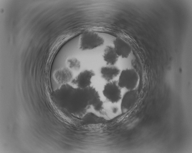 X0000054440049200507290936