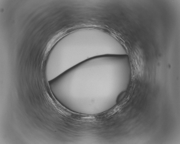 X0000054440053200507290936