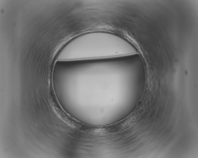 X0000054440059200507290936